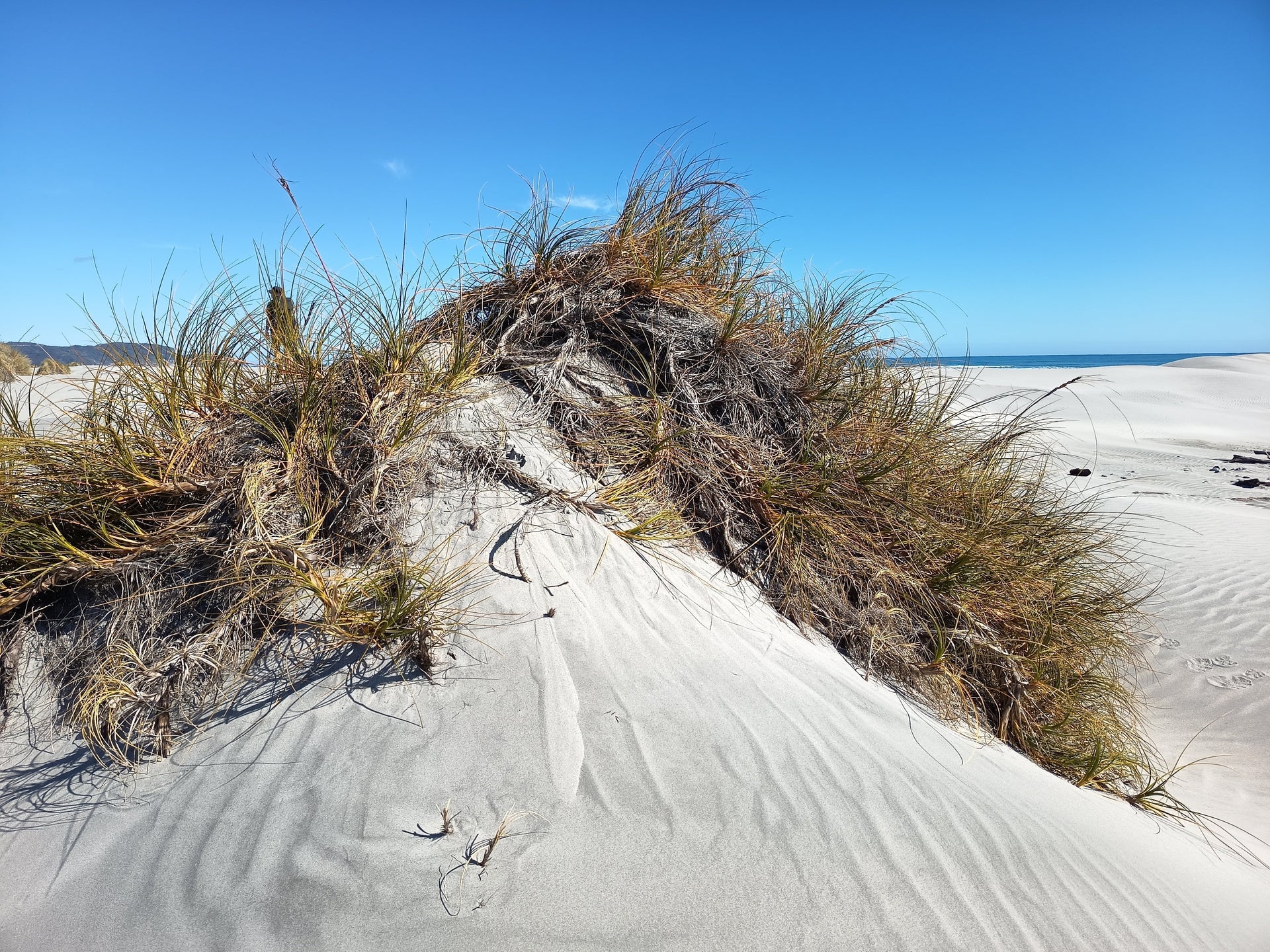 Onetahua | Farewell Spit | Stone Scatter