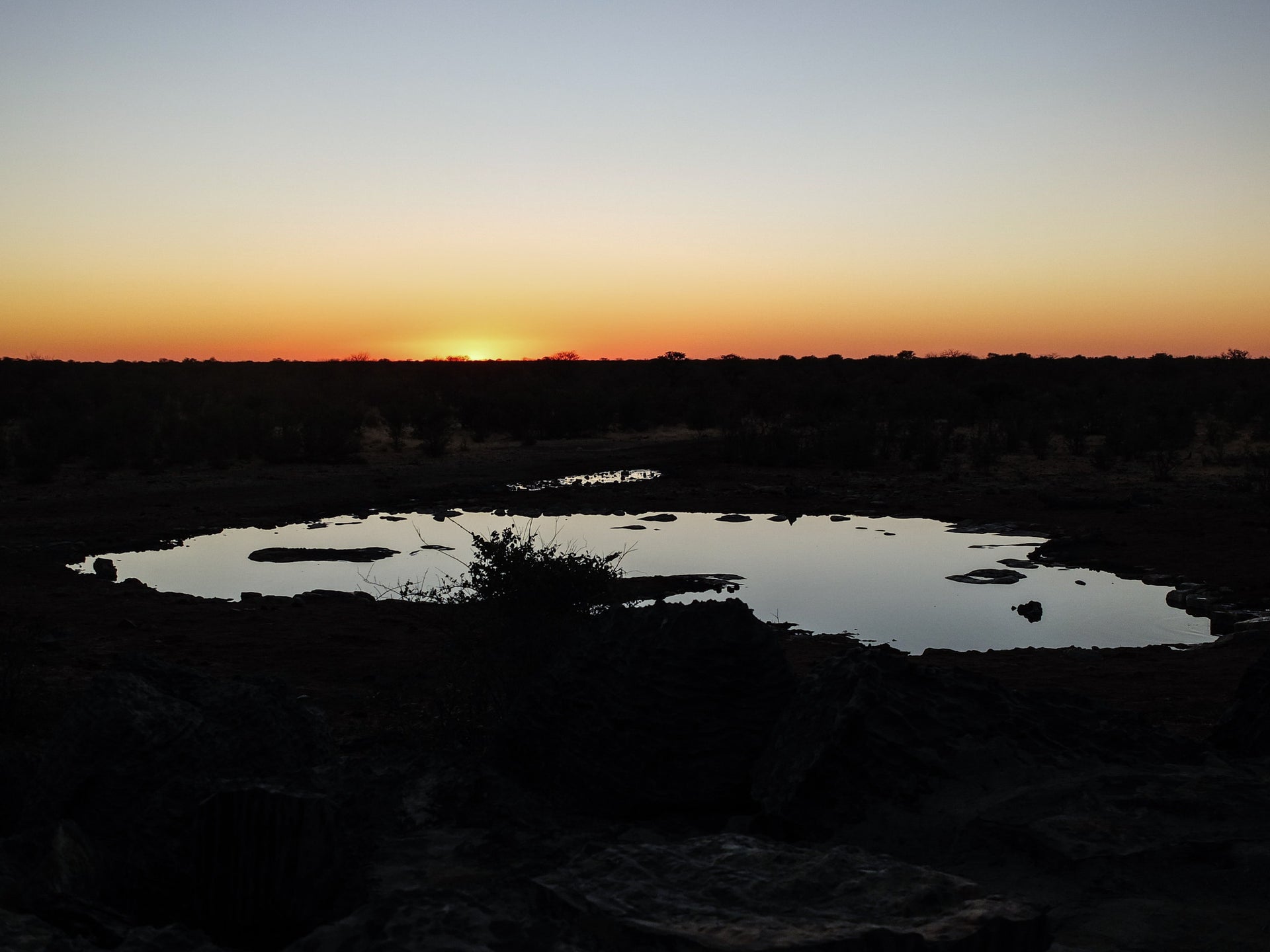 Waterhole at Etosha.