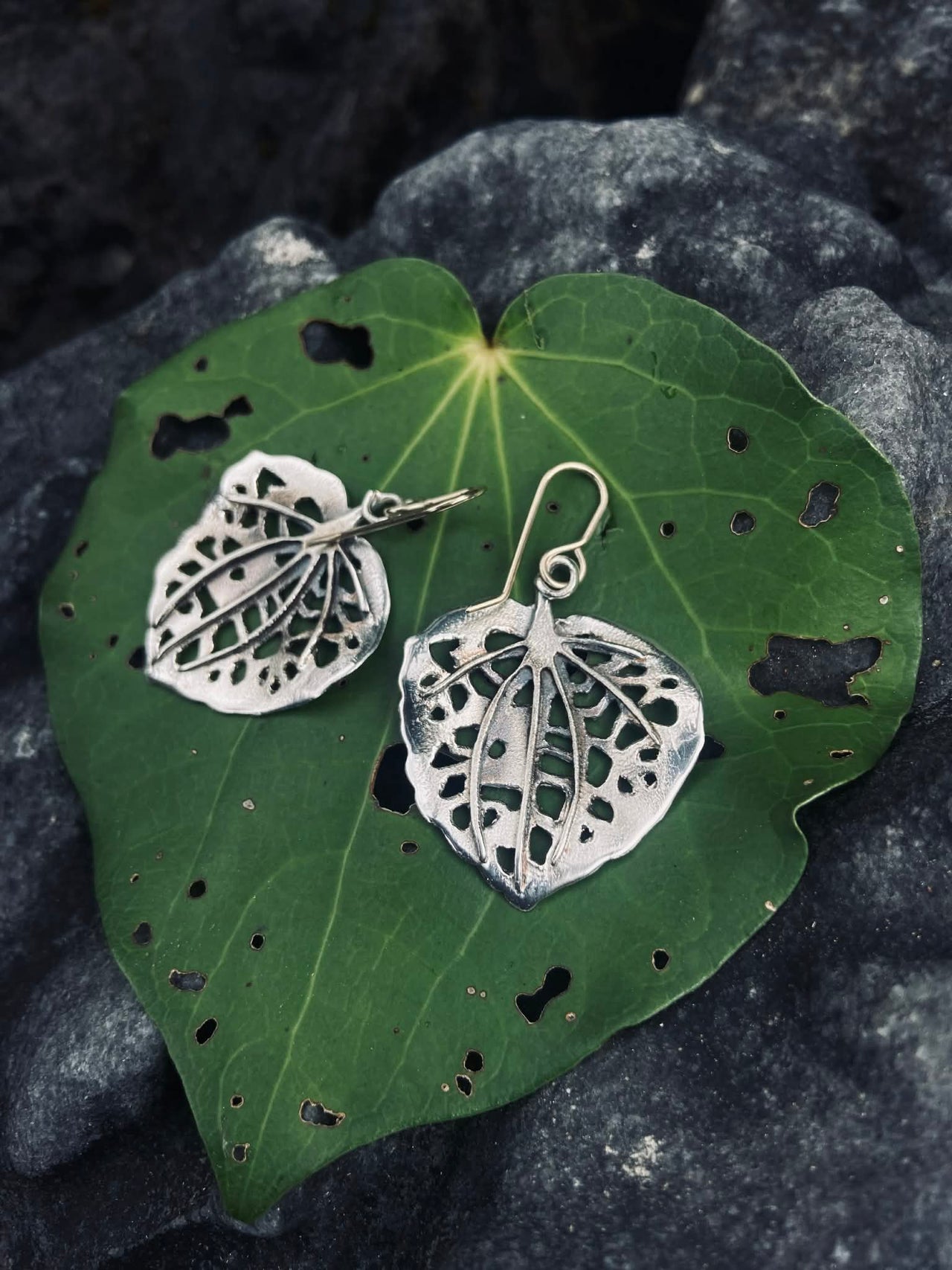 Kawakawa Silver Leaf earrings | silver earrings | nz jewellery