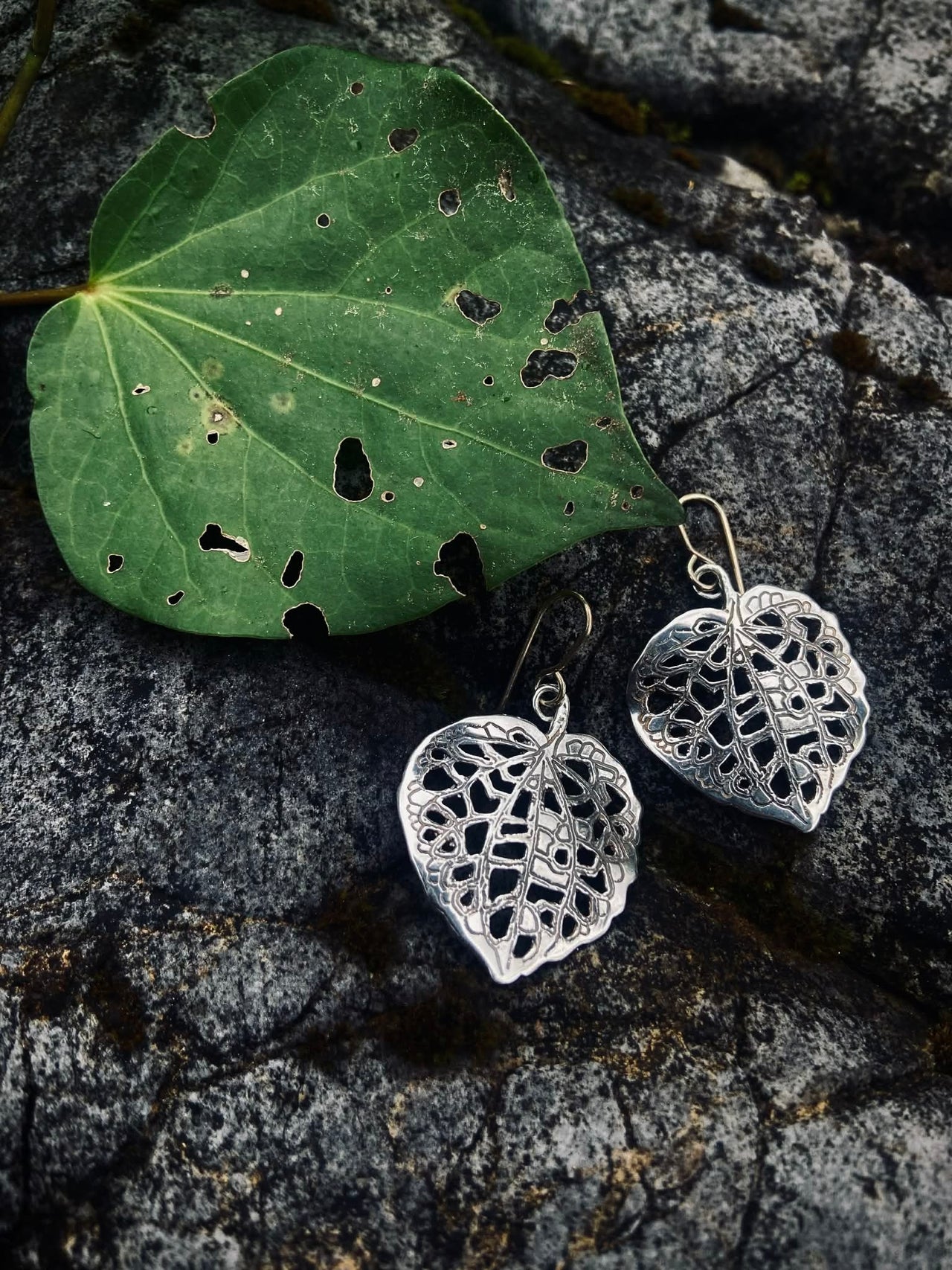 Kawakawa Silver Leaf earrings | silver earrings | nz jewellery
